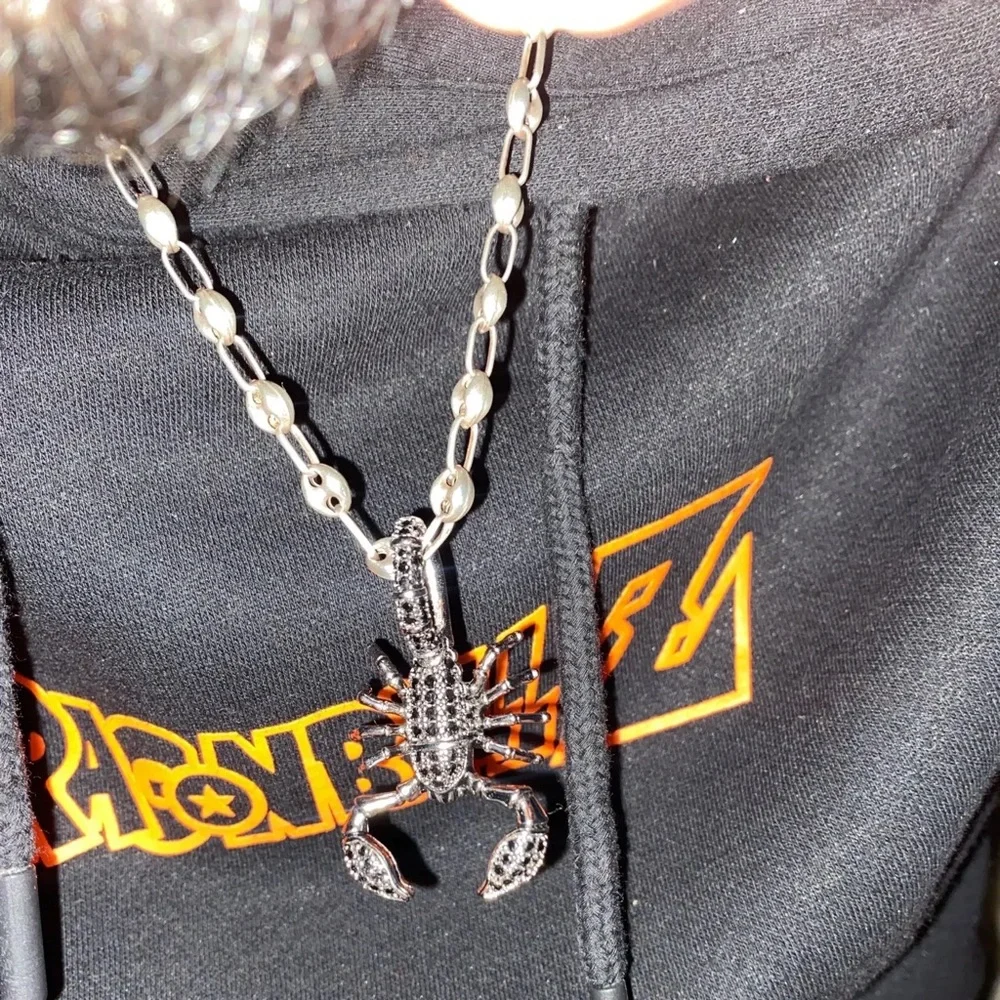 Anthro Pendant Scorpion Black Fashion Jewelry 925 Sterling Silver Rebel Men - Picture 13 of 16